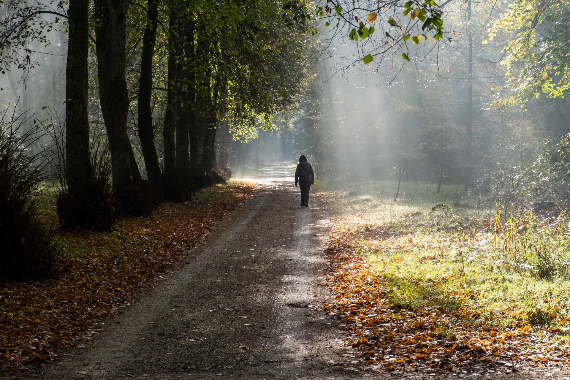 Herfst 7348