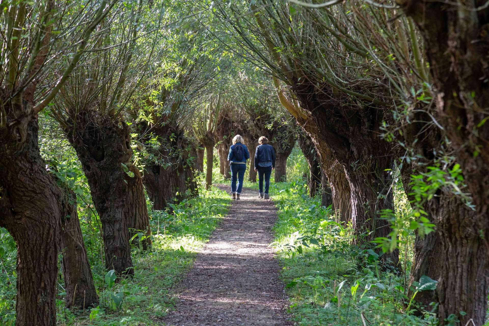 Wandelcoaching  sep24 8404