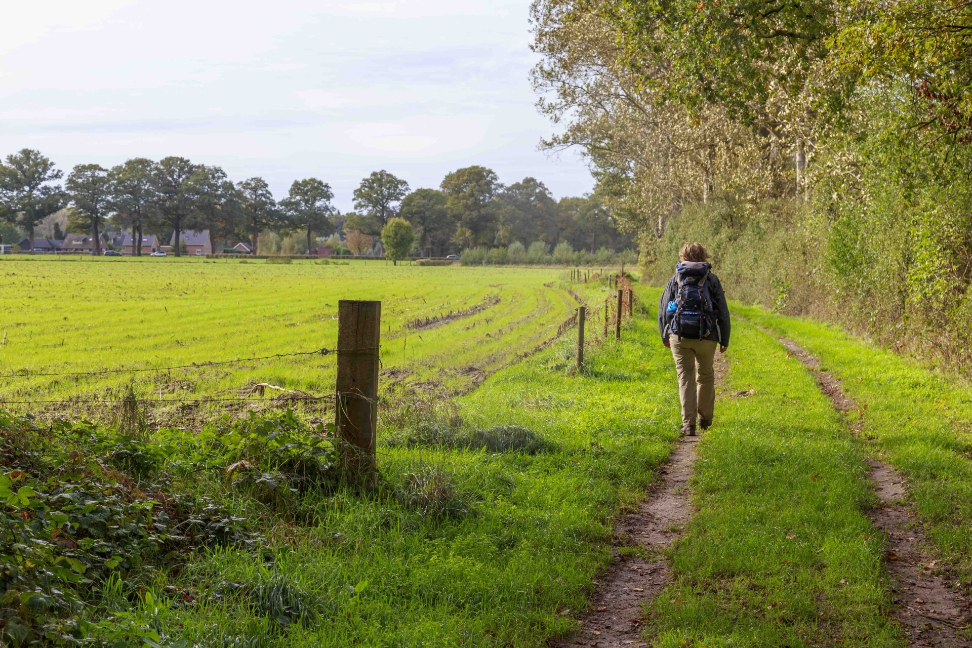 Wandelen landschap 0217