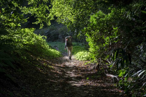 Wandelen landschap 8661